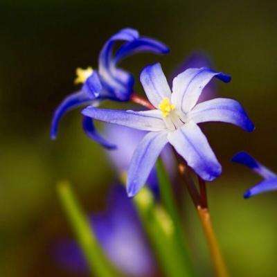 博鱼娱乐app官网截图1