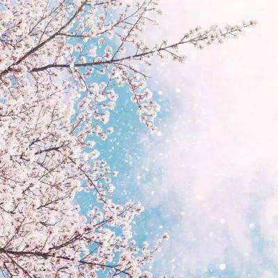 ob体育app官网下载·-官网入口截图3