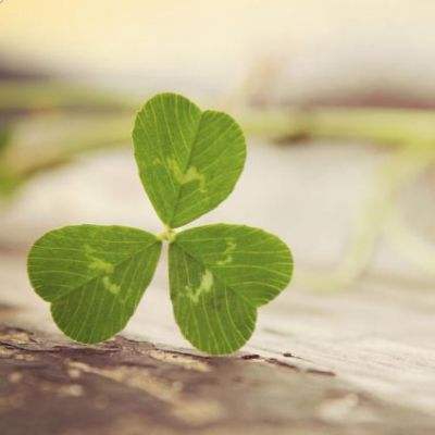 玩球体育最新版截图2