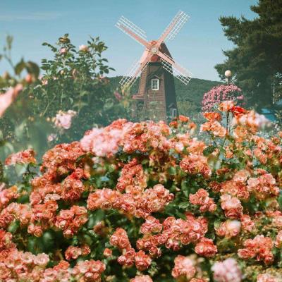 红警免费下载截图3