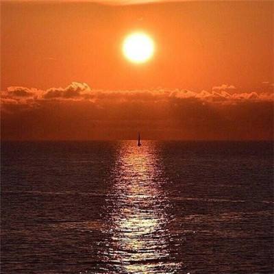 儿童歌曲大全下载截图4